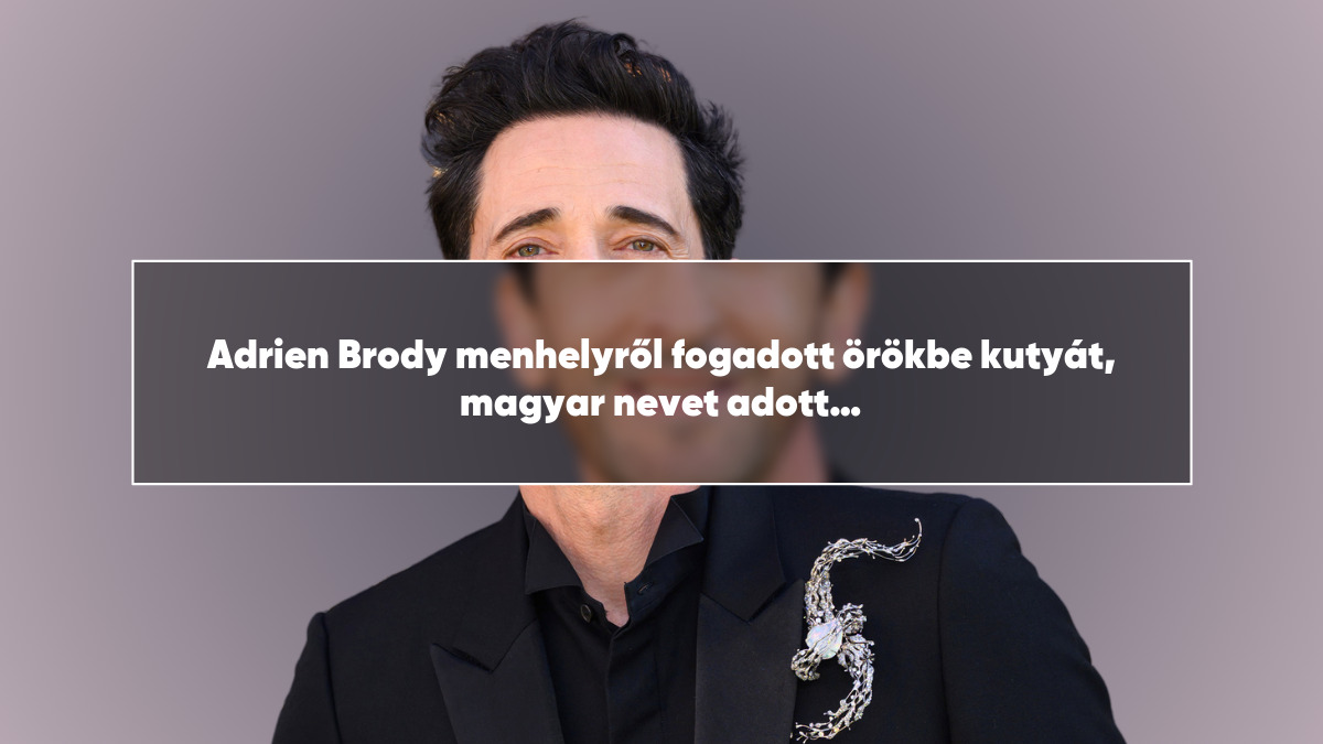 Adrien Brody menhelyről fogadott örökbe kutyát, magyar nevet adott neki